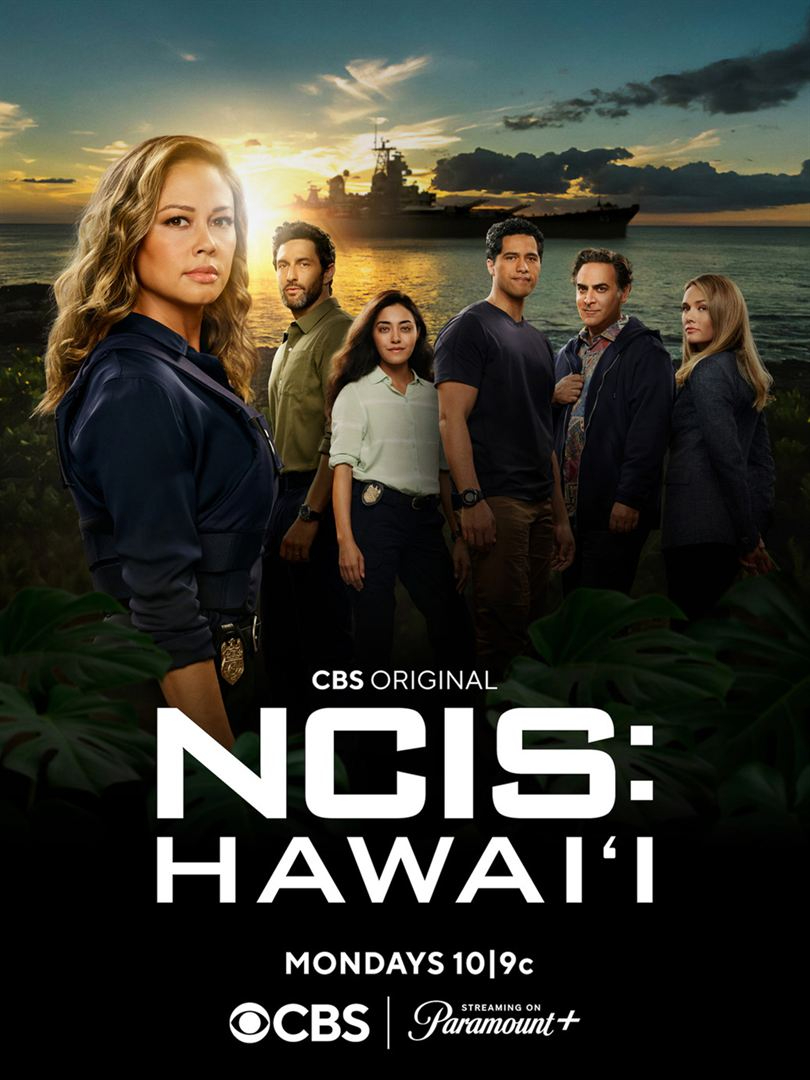 NCIS : Hawaï S02E15 FRENCH HDTV